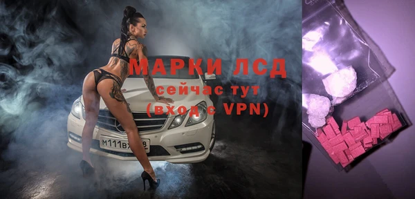 ГАЛЛЮЦИНОГЕННЫЕ ГРИБЫ Алзамай