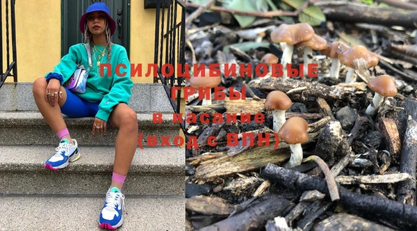 прущие грибы Алексеевка