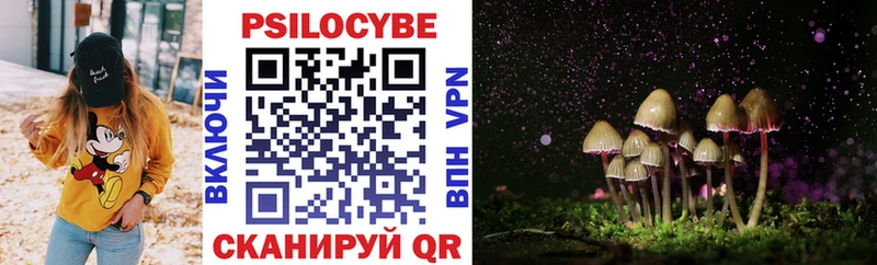 Псилоцибиновые грибы MAGIC MUSHROOMS  купить закладку  Подольск 
